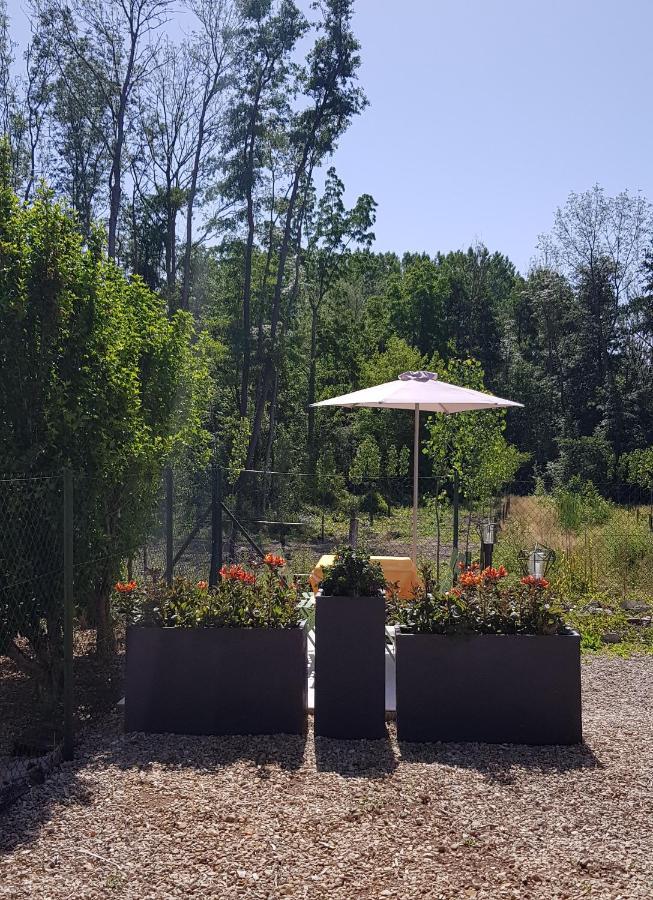 Agreable Petite Maison Proche Joigny Chamvres 外观 照片